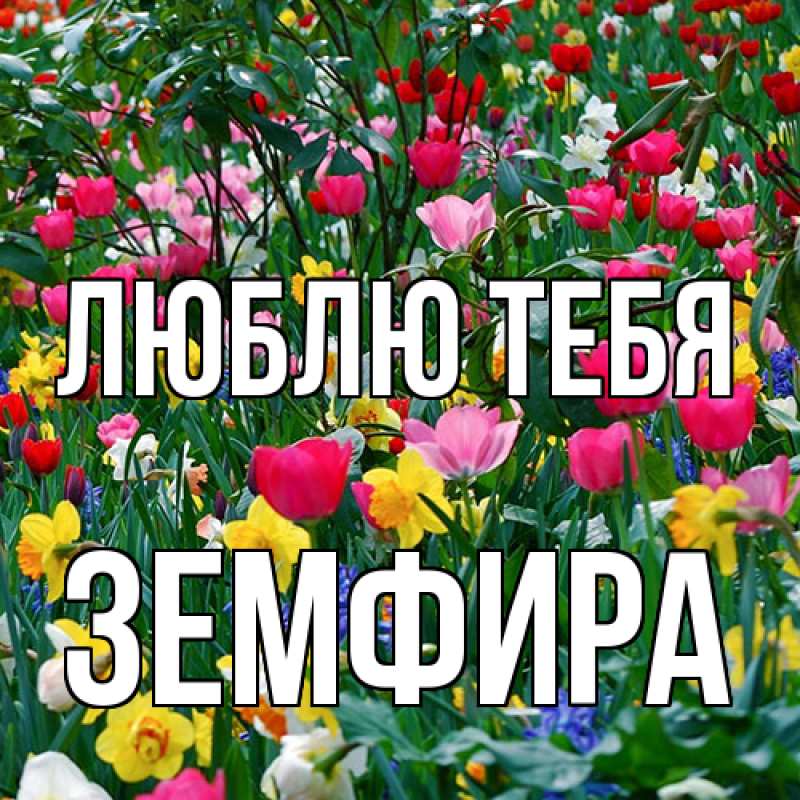 Картинка Люблю тебя, Земфира