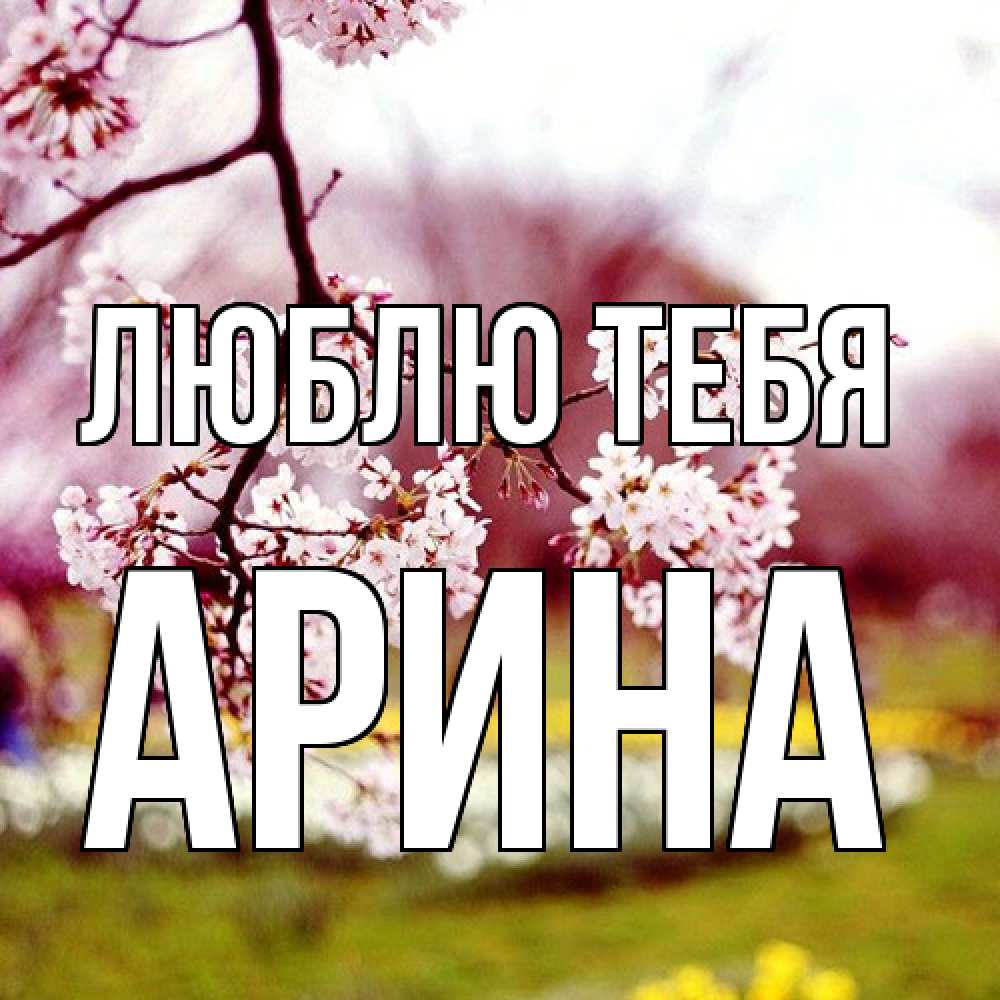 Открытка на каждый день с именем, Арина Люблю тебя яблоня Прикольная открытка с пожеланием онлайн скачать бесплатно 
