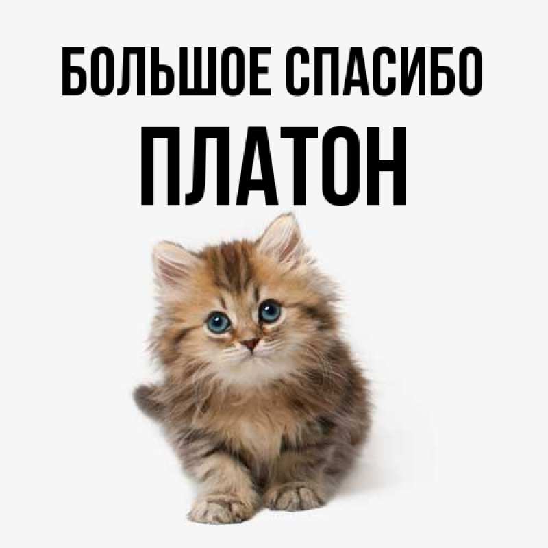 Открытка с именем, Платон, Большое спасибо