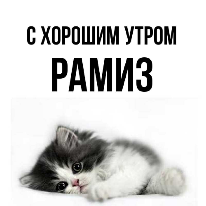 Картинка С хорошим утром, Рамиз