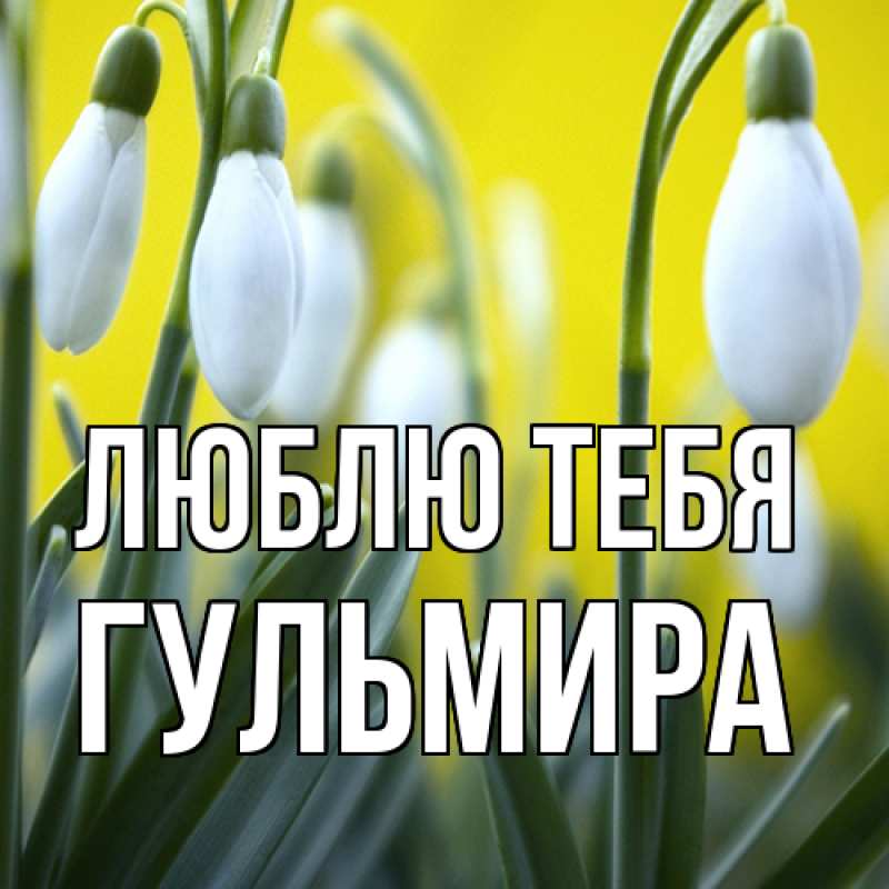 Картинка Люблю тебя, Гульмира