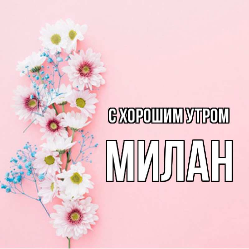 Картинка С хорошим утром, Милан