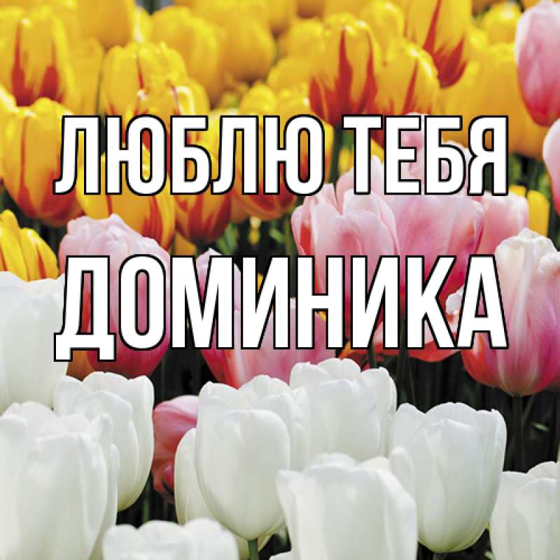 Картинка Люблю тебя, Доминика