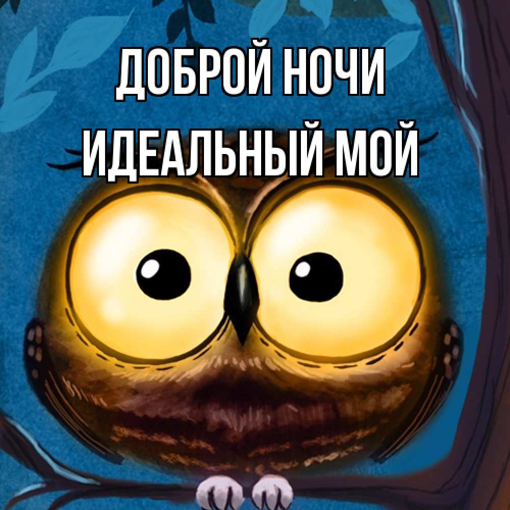 Открытка на каждый день с именем, Идеальный-мой Доброй ночи большие глаза Прикольная открытка с пожеланием онлайн скачать бесплатно 