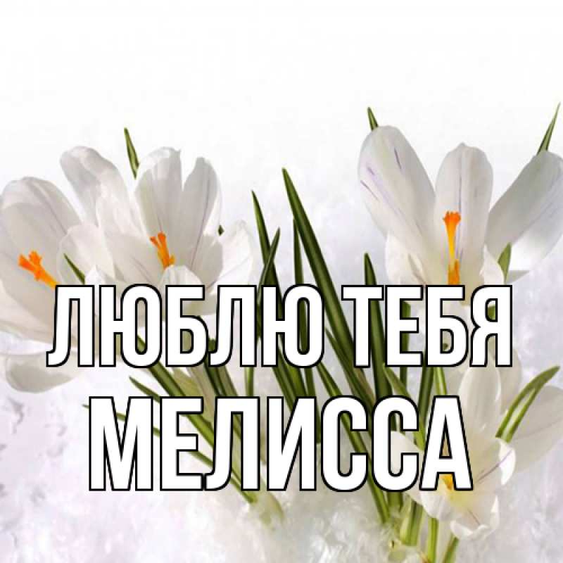 Картинка Люблю тебя, Мелисса