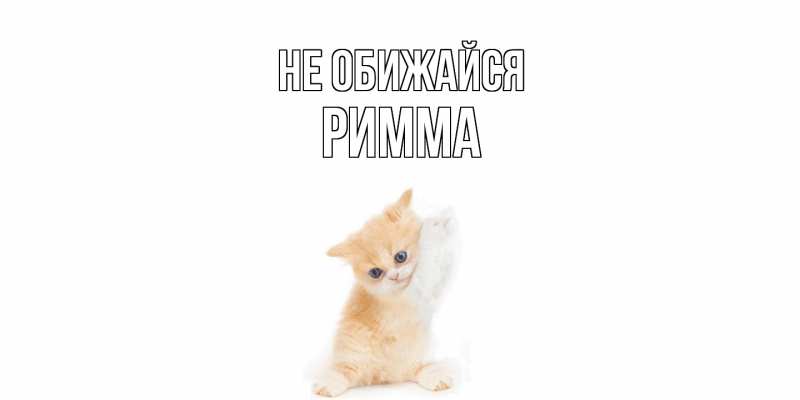 Картинка Не обижайся, Римма