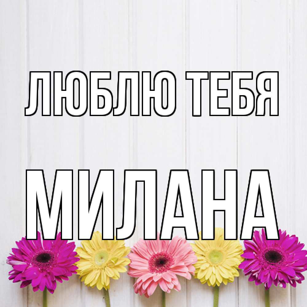 Открытка на каждый день с именем, Милана Люблю тебя женщинам 1 Прикольная открытка с пожеланием онлайн скачать бесплатно 