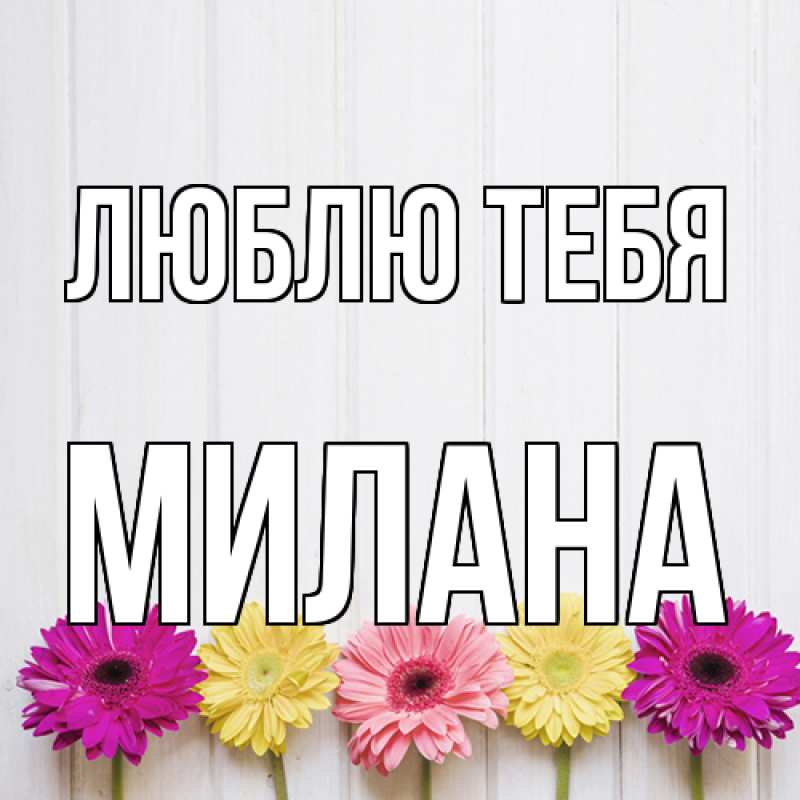 Картинка Люблю тебя, Милана
