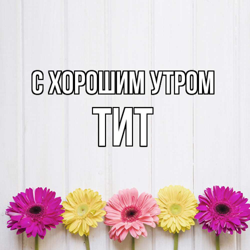 Открытка на каждый день с именем, Тит С хорошим утром красный желтый и розовый цветок Прикольная открытка с пожеланием онлайн скачать бесплатно 