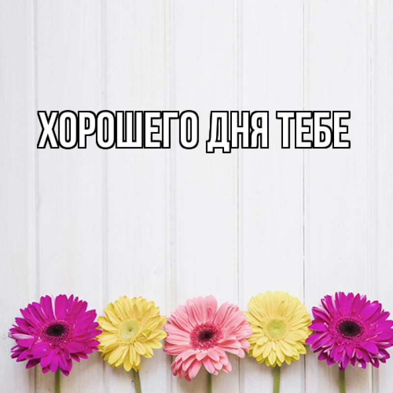 Картинка Люблю тебя, Гордон