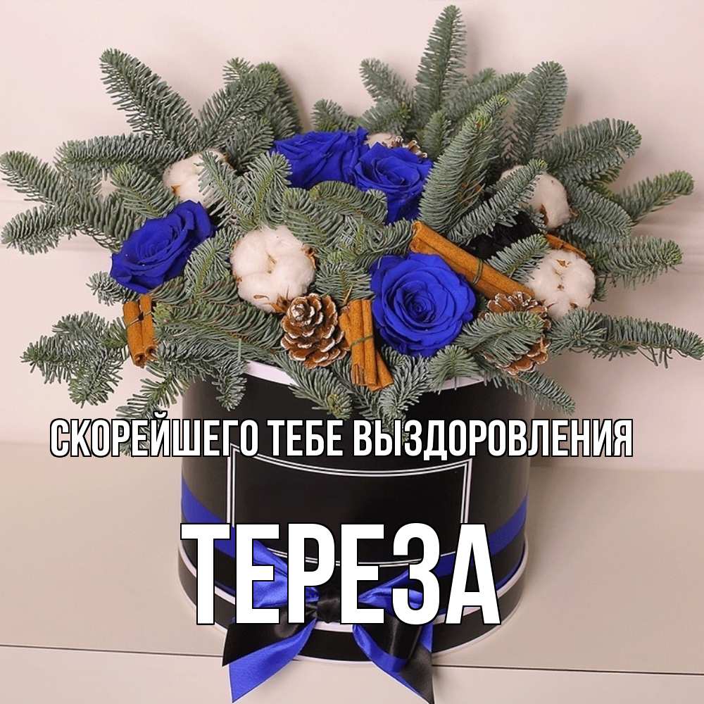 Открытка на каждый день с именем, Тереза Скорейшего тебе выздоровления короче кто то загрузил эти шишки Прикольная открытка с пожеланием онлайн скачать бесплатно 