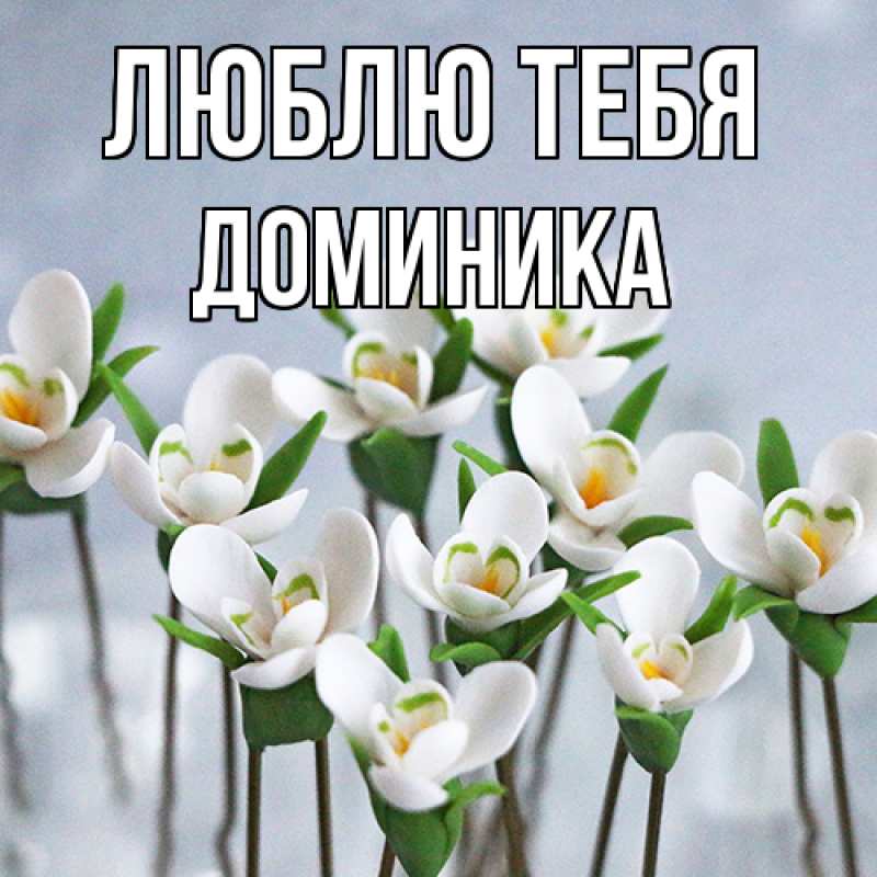 Картинка Люблю тебя, Доминика