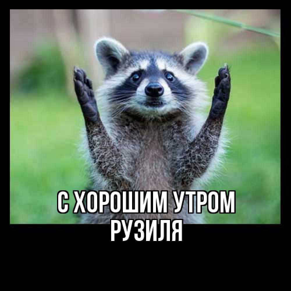 Открытка на каждый день с именем, Рузиля С хорошим утром хорошее настроение утречком Прикольная открытка с пожеланием онлайн скачать бесплатно 