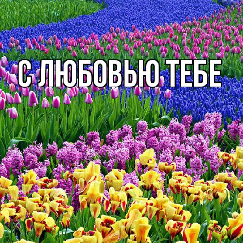 Картинка Люблю тебя, Жан