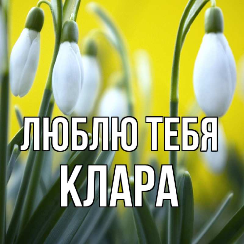 Картинка Люблю тебя, Клара