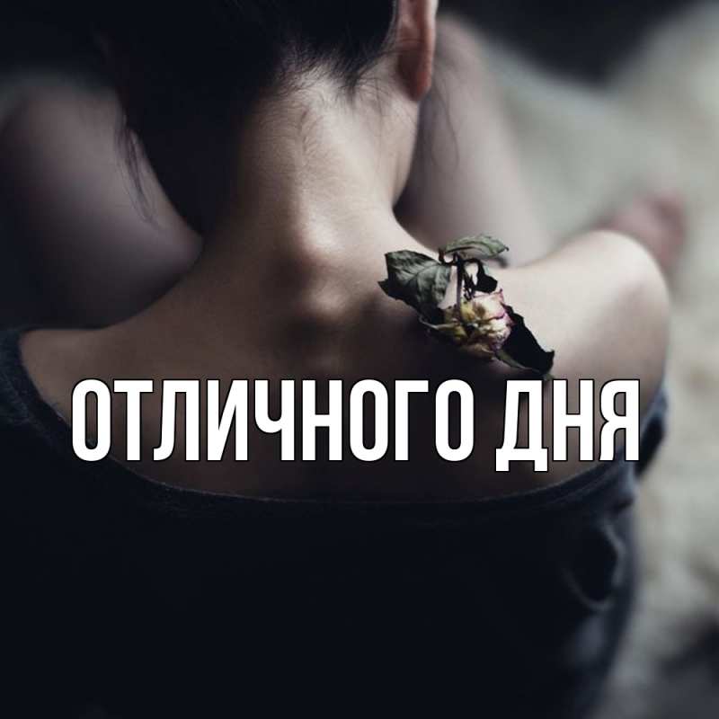 Картинка Скучашки, Леся