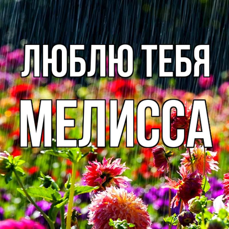 Картинка Люблю тебя, Мелисса