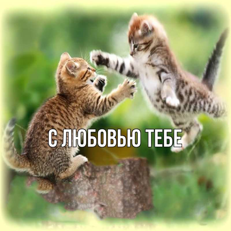 Открытка с именем, Женя, Обнимашки