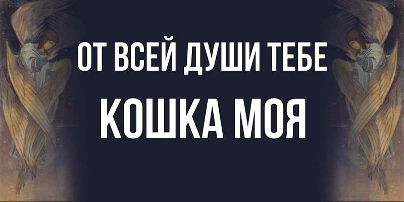 Картинка От всей души тебе, Кошка моя