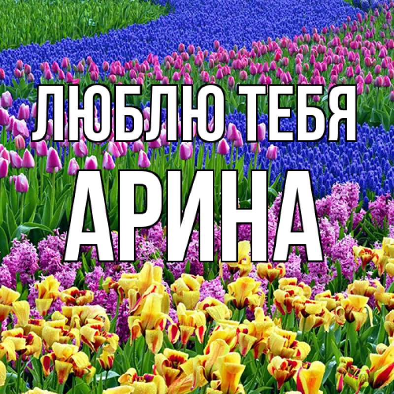 Картинка Люблю тебя, Арина