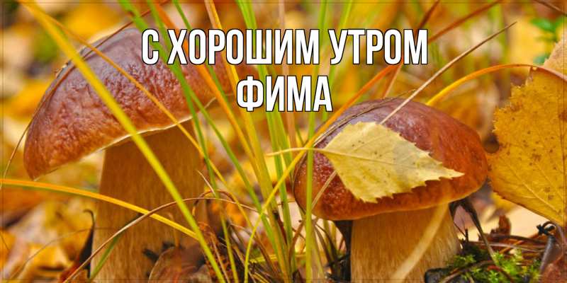 Картинка С хорошим утром, Фима