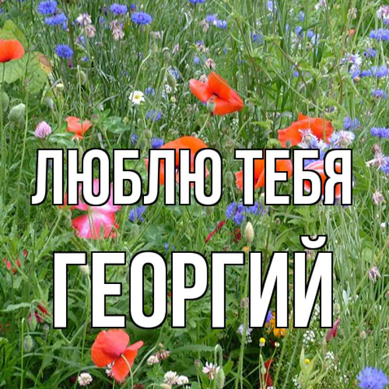 Картинка Люблю тебя, Георгий