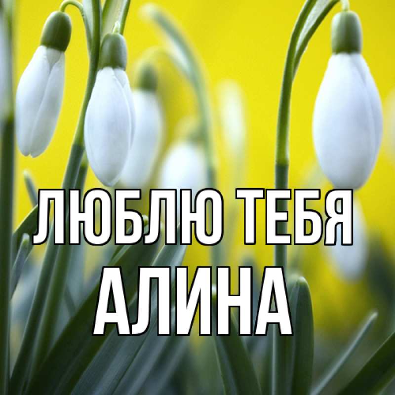 Открытка с именем, Алина, Люблю тебя