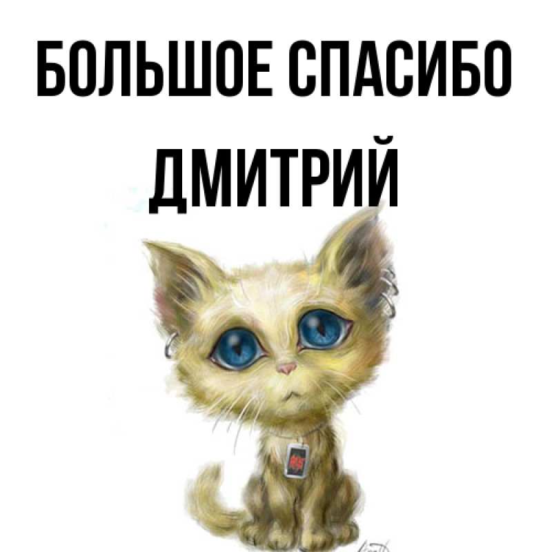 Картинка Большое спасибо, Дмитрий