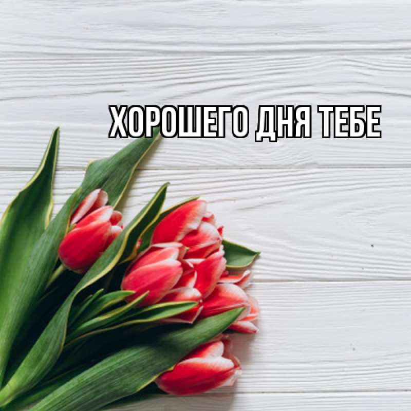 Картинка Люблю тебя, Исидор