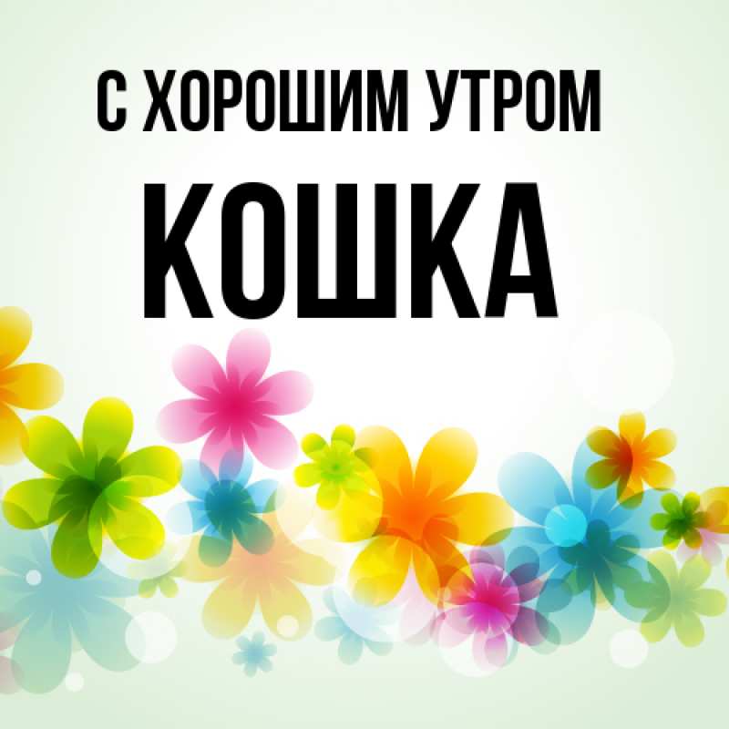 Картинка С хорошим утром, Кошка