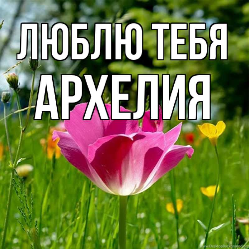 Картинка Люблю тебя, Архелия