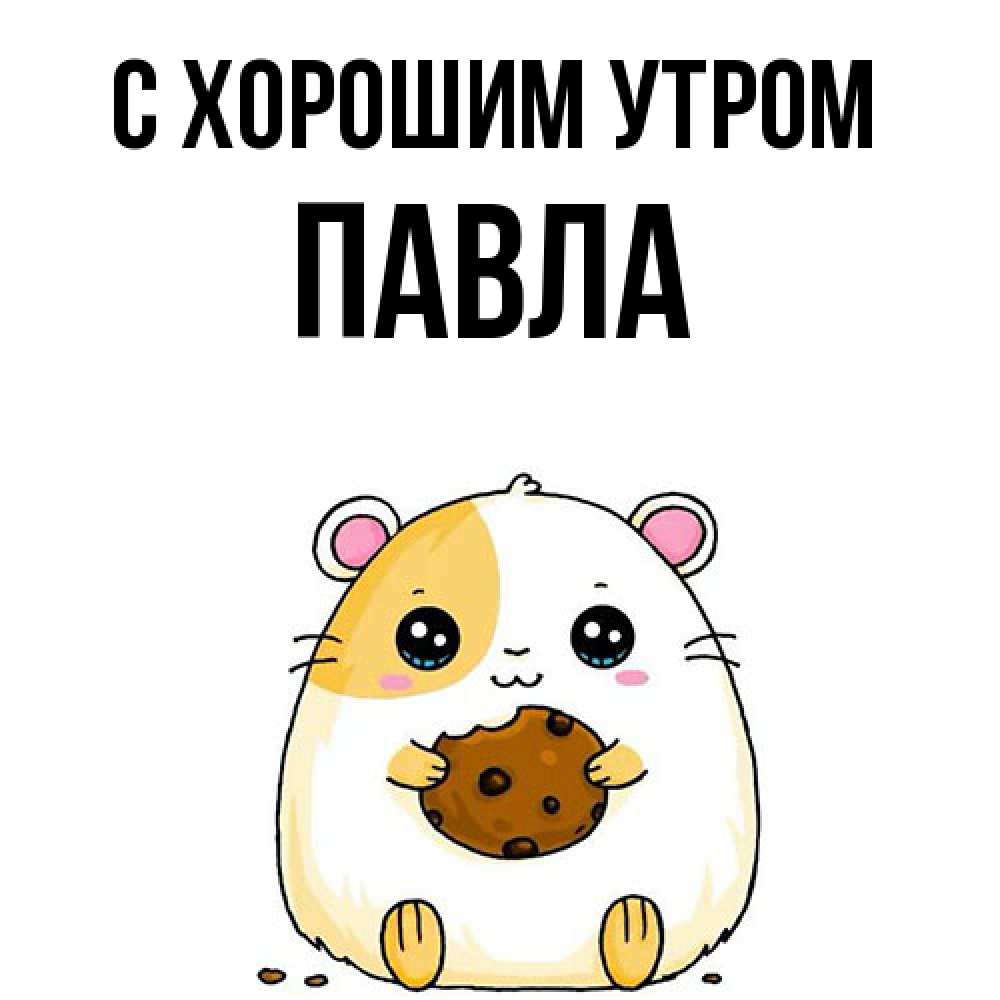 Открытка на каждый день с именем, Павла С хорошим утром есть печеньку. Утречко Прикольная открытка с пожеланием онлайн скачать бесплатно 