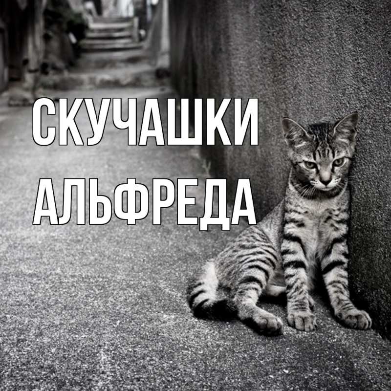 Картинка Скучашки, Альфреда