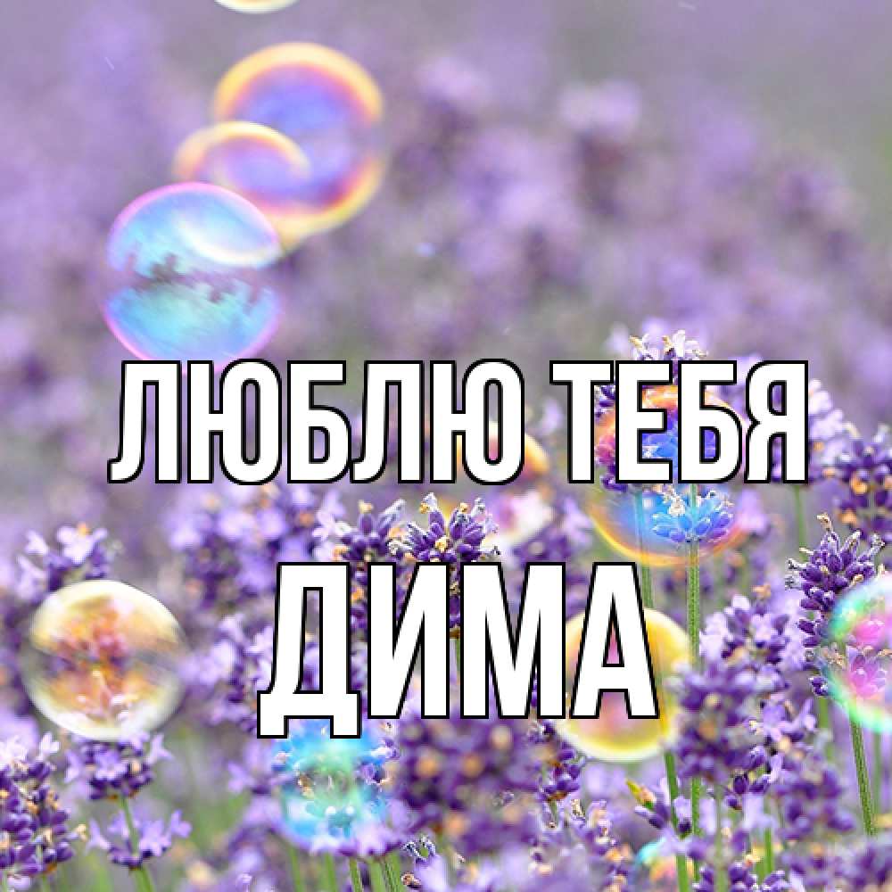 Открытка на каждый день с именем, Дима Люблю тебя цветы Прикольная открытка с пожеланием онлайн скачать бесплатно 