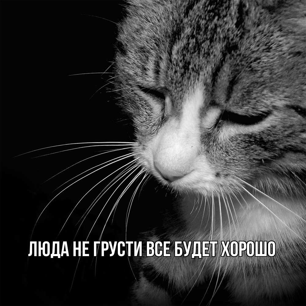 Открытка на каждый день с именем, Люда Не грусти, все будет хорошо грустный котик Прикольная открытка с пожеланием онлайн скачать бесплатно 