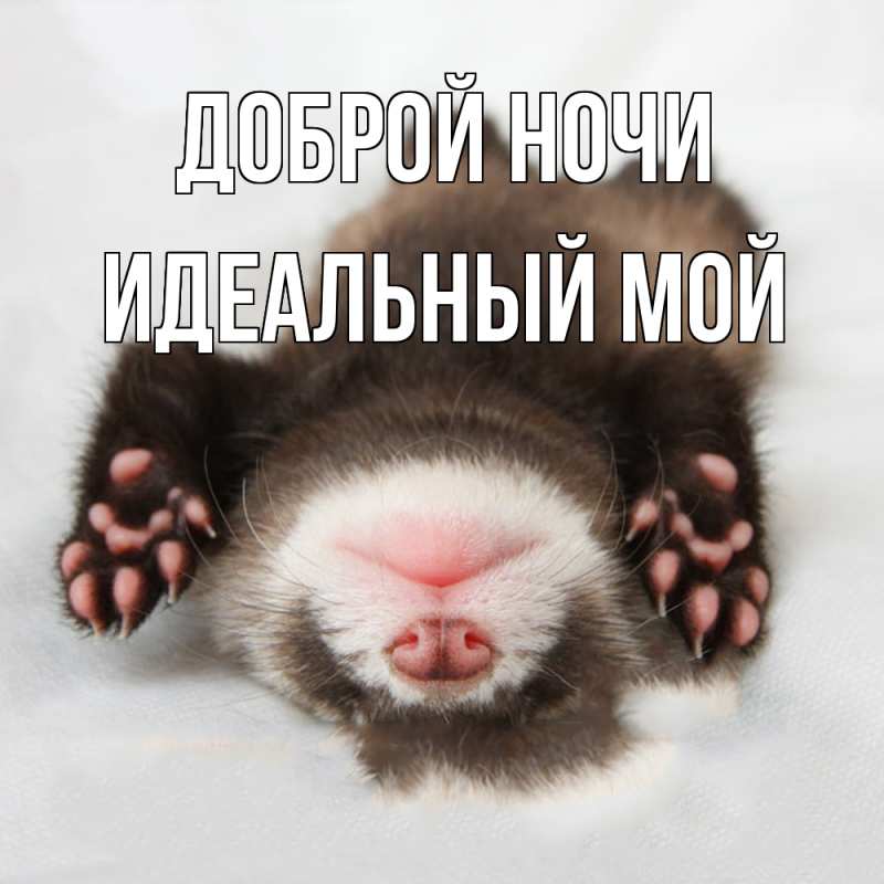 Открытка с именем, Идеальный мой, Доброй ночи