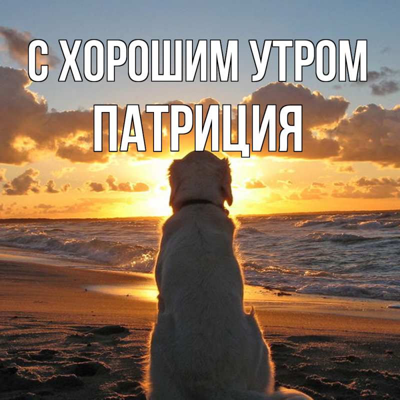 Открытка с именем, Патриция, С хорошим утром