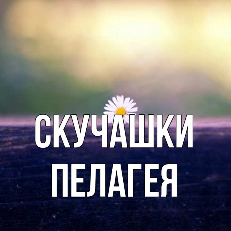 Картинка Скучашки, Пелагея