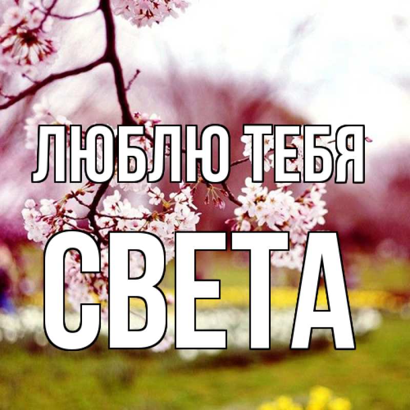 Открытка с именем, Света, Люблю тебя