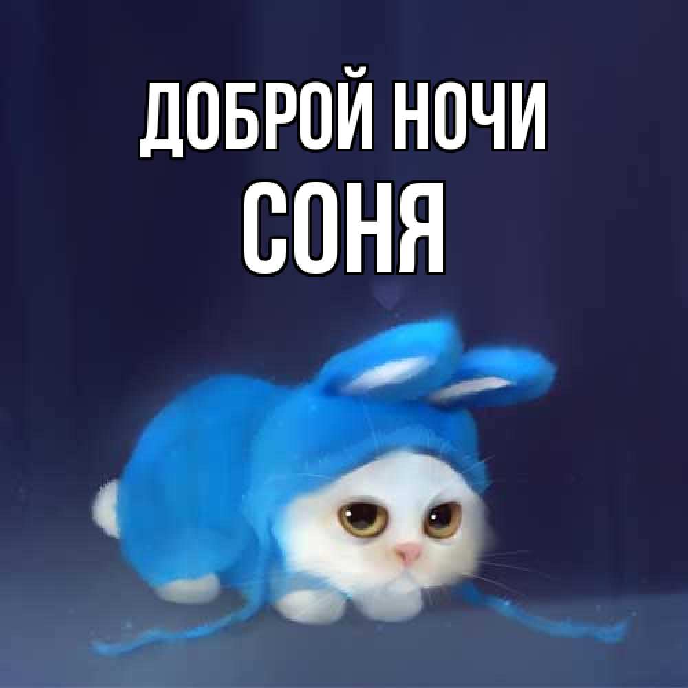 Открытка на каждый день с именем, Соня Доброй ночи кот в голубом костюме кролика с ушками Прикольная открытка с пожеланием онлайн скачать бесплатно 