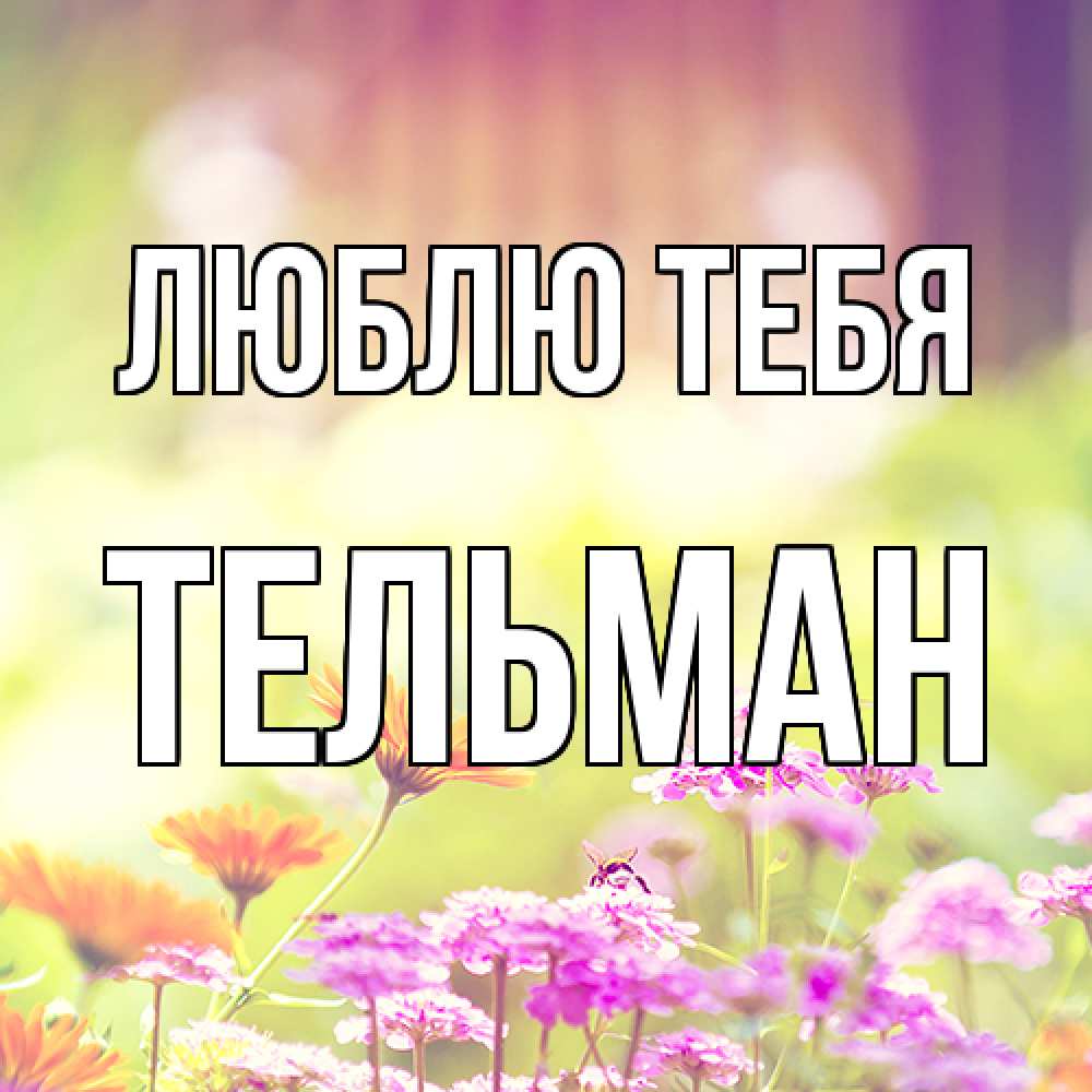 Открытка на каждый день с именем, Тельман Люблю тебя цветы весна Прикольная открытка с пожеланием онлайн скачать бесплатно 