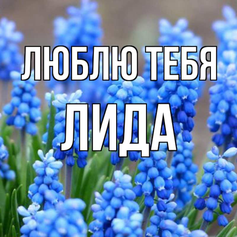Картинка Люблю тебя, Лида