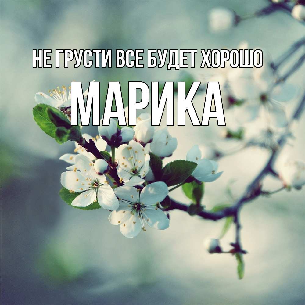Открытка на каждый день с именем, Марика Не грусти все будет хорошо яблоня в цвету 1 Прикольная открытка с пожеланием онлайн скачать бесплатно 