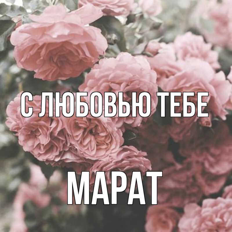 Картинка С любовью тебе, Марат