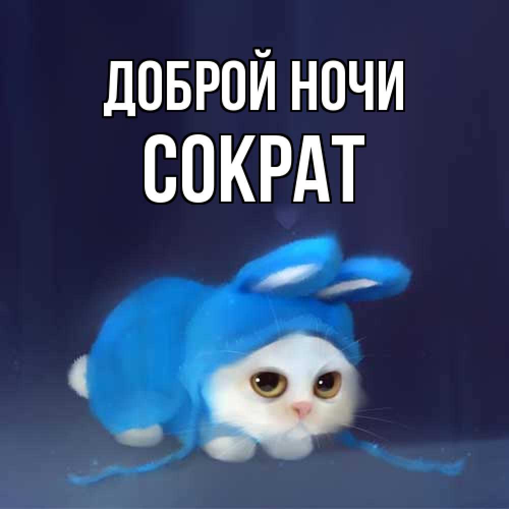 Открытка на каждый день с именем, Сократ Доброй ночи кот в голубом костюме кролика с ушками Прикольная открытка с пожеланием онлайн скачать бесплатно 