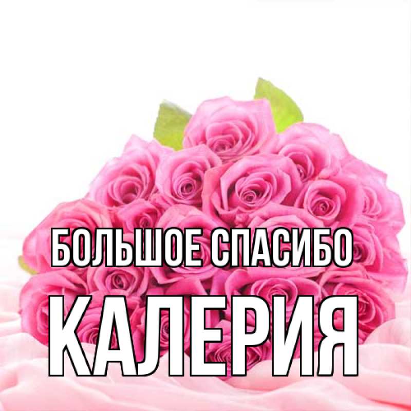 Картинка Большое спасибо, Калерия