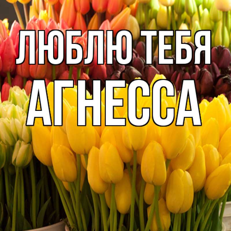 Картинка Люблю тебя, Агнесса