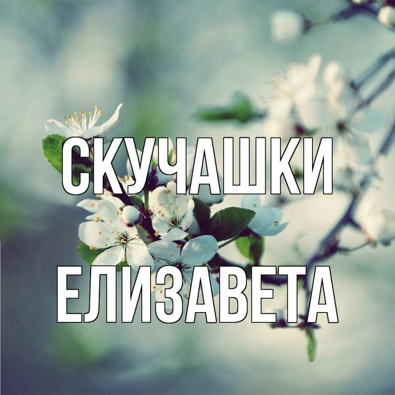 Картинка Скучашки, Елизавета