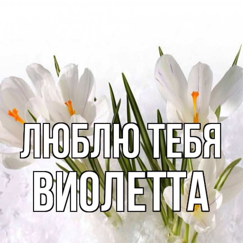 Картинка Люблю тебя, Виолетта