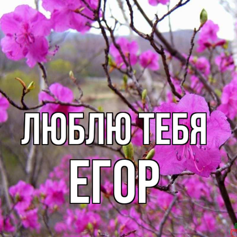 Открытка с именем, Егор, Люблю тебя